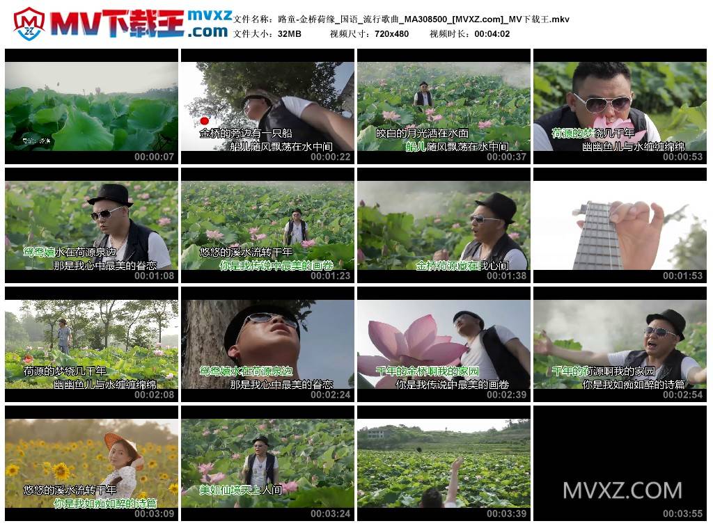 路童-金桥荷缘_国语_流行歌曲_MA308500